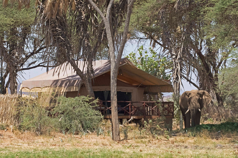 Masai Mara Horse-riding Safari USD3515