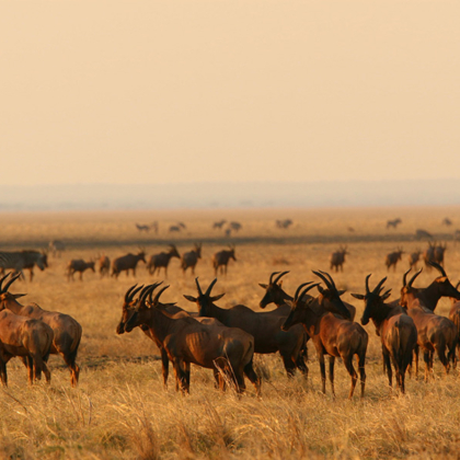 Namibia's Road Trip & Fly-In Sossusvlei USD6510