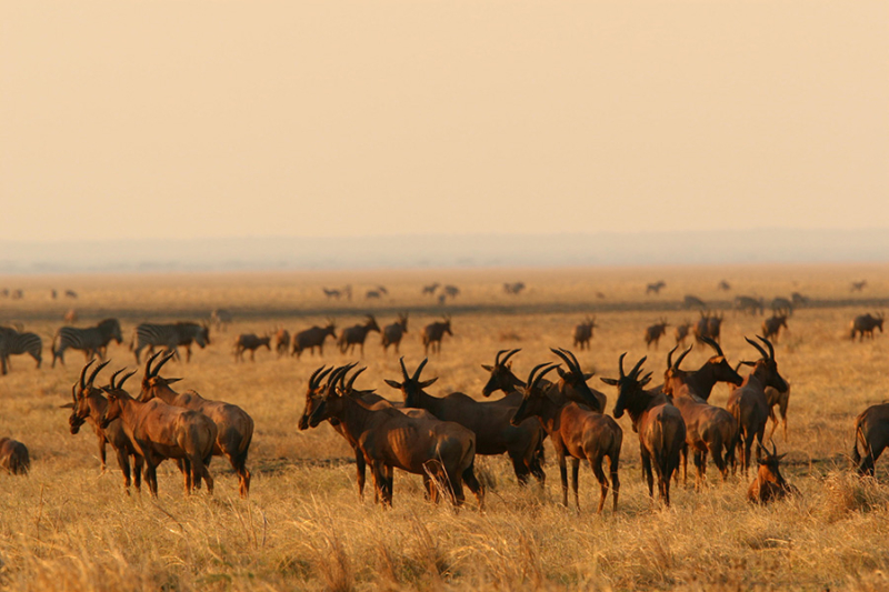 Namibia's Road Trip & Fly-In Sossusvlei USD6510