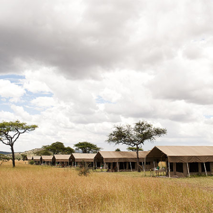 Northern Namibia Guided Lodge Safari USD4295