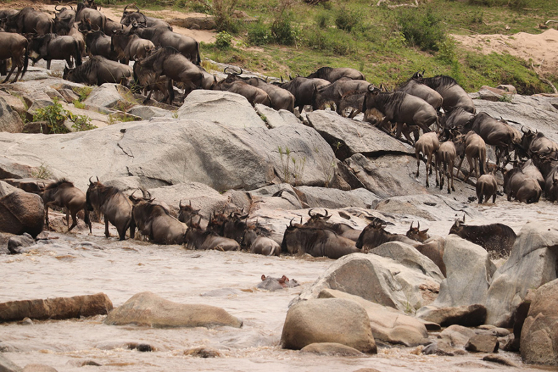 Romantic Botswana's Delta